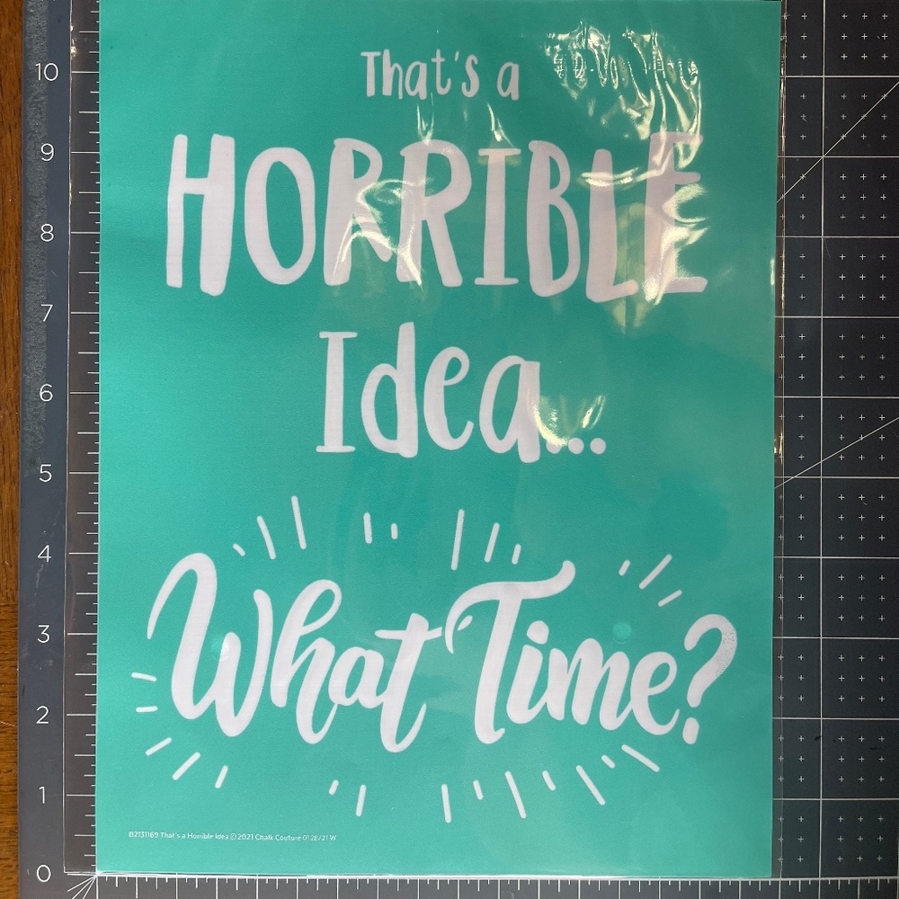 NEW Chalk Couture B Size Transfer - That's a Horrible Idea - B2131169